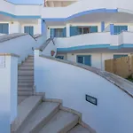 Allegria * ليدو ماريني
